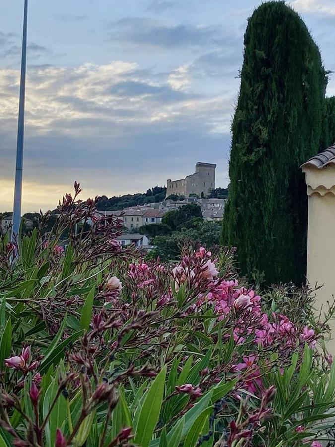 Villa Syrah シャトーヌフ・デュ・パプ エクステリア 写真